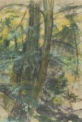 DAVID WILD (1931-2014) PASTEL Tree study Signed and numbered 29 verso 30" x 20" (76.2cm x 50.8cm)