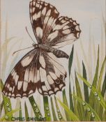 CHRIS SHIELDS (Contemporary) WATERCOLOURS, A PAIR 'Moths'