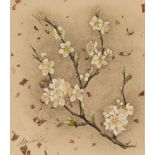 ANGELA MULLINER (Contemporary) WATERCOLOUR 'Plum Blossom' Signed 8 1/4" x 7" (21cm x 18cm)