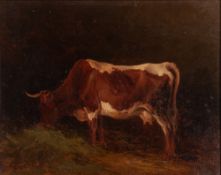 EDMUND MAHLKNECHT (Austrian 1820-1903) OIL PAINTING ON BOARD A Study of a cow eating Signed with