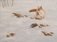 JERRY S. WAIDE (b.1948) OIL PAINTING ON BOARD 'Fox in snow' Signed 11 1/2" x 15 1/2" (29cm x 39.5cm)