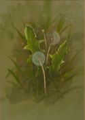 W. GEOFF ROLLINSON (b. 1946) WATERCOLOURS ON OLIVE GREEN PAPER, A PAIR 'Dandelion Clock' and 'Oxe-