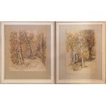 F. RONALD WALTHALL TWO PENCIL AND WASH DRAWINGS 'TREES' SIGNED 14" X 9 ½" AND 13" X 12"
