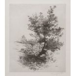 WILLIAM GELDART THREE ARTIST SIGNED LIMITED EDITION PRINTS OF PENCIL DRAWINGS Tree over a stream