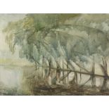 DEIRDRE STURROCK (TWENTIETH CENTURY) OIL PAINTING ON CANVAS Trees overhanging a lake Signed and