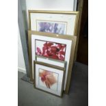 LARGE FRAMED PRINT 'MICHAEL ANGELO' AND SIX MODERN FRAMED PRINTS OF FLOWERS (7)