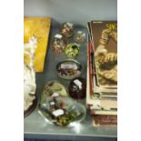 COLLECTION OF EARLY TWENTIETH CENTURY GLASS PAPERWEIGHTS WITH COLOURED CANES AND FOUR OTHER EXAMPLES