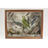 TAXIDERMY, EIGHT BIRDS AND FIVE BUTTERFLIES OR MOTHS, in natural setting, contained in a glazed case