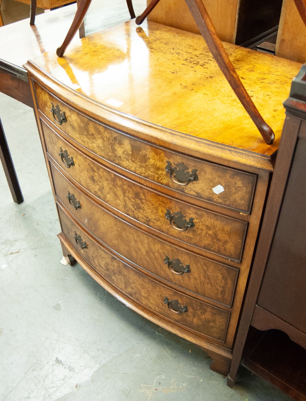 GEORGIAN STYLE BURR WALNUTWOOD BOW FRONTED CHEST OF FOUR GRADUATED COCKBEADED DRAWERS, WITH SWAN