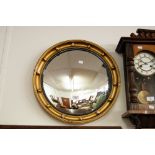 A REGENCY CIRCULAR CONVEX WALL MIRROR IN GILT GESSO FRAME WITH BALL ORNAMENTS AND EBONISED SLIP