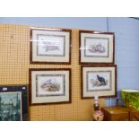 FOUR FRAMED AND GLAZED PRINTS BY JOHN GOULD, BEDLEGGED PARTRIDGE, PHEASANT, BLACK GROUSE