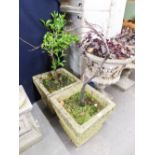 A PAIR OF MODERN STONEWARE SQUARE GARDEN URNS WITH CELTIC DECORATION (2)