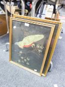 A SILK EMBROIDERED PICTURE OF A PARROT AGAINST A BLACK BACKGROUND, ANOTHER OF A DISPLAYED PEACOCK (