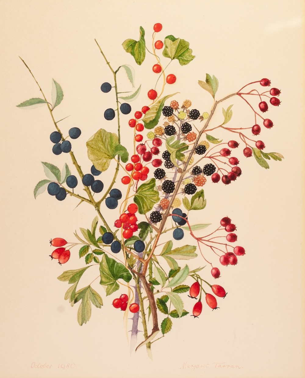 MARGRARET TARRAN (TWENTIETH CENTURY) WATERCOLOUR DRAWING Still Life - Fruiting Branches Signed and - Image 4 of 4
