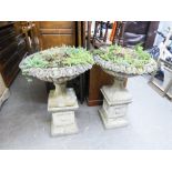 A PAIR OF COMPOSITION GARDEN URNS WITH OUT-TURNED RIMS TO SHALLOW BOWLS, ON SQUARE PEDESTALS (2)