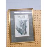 BASIL EDE (b. 1931) ARTIST SIGNED COLOUR PRINT Bird on a tree stump Guild stamped 7 1/2" x 11 1/