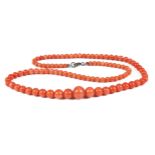 A single row graduated coral bead necklace