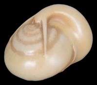 A Royal Worcester blush ivory snail of netsuke form, circa 1913