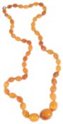 A 'butterscotch' amber bead necklace