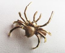 A Continental 18ct gold spider brooch