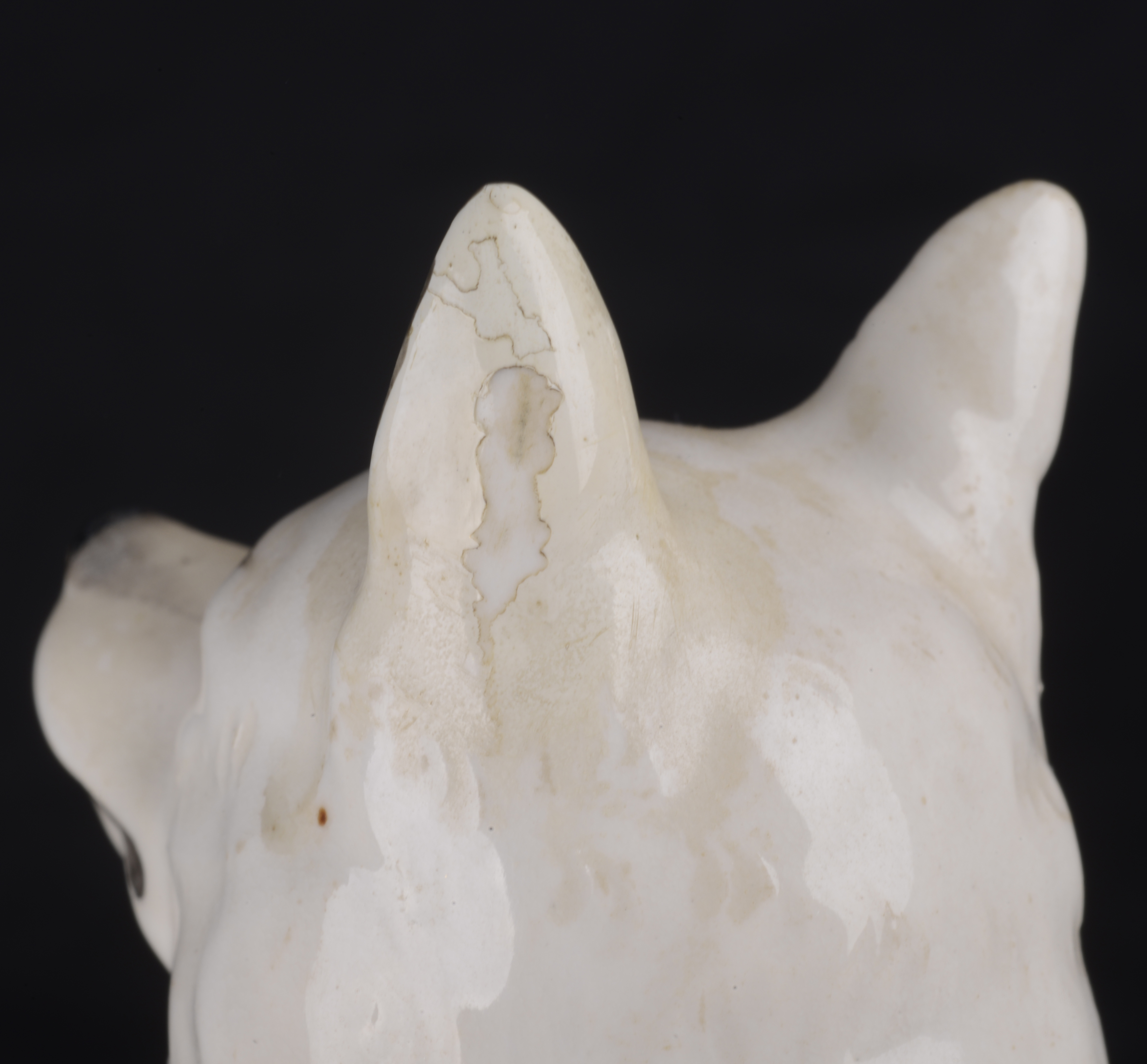 A Royal Worcester figure of a spitz - Image 3 of 4