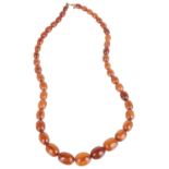 A butterscotch coloured amber bead necklace