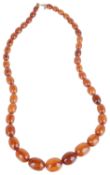 A butterscotch coloured amber bead necklace