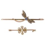 An attractive Edwardian sapphire and seed pearl dragonfly brooch