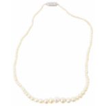 A delicate singe graduate baroque pearl necklace, untested