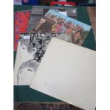 PARCEL OF VARIOUS BEATLES VINYLS INCLUDING THE WHITE ALBUM, SGT PEPPERS LONELY HEARTS CLUB BAND,