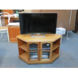 SONY FLATSCREEN TELEVISION,