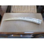 REPRODUCTION SCRIMSHAW TUSK