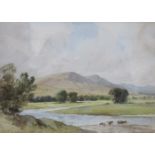 FRAMED WATERCOLOUR DEPICTING A RIVER SCENE WITH CATTLE, BEARING SIGNATURE PERCY LANCASTER,