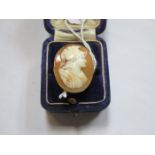 18ct GOLD CAMEO DRESS RING