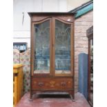 ART NOUVEAU STYLE TWO DOOR DISPLAY CABINET,