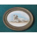 GILT FRAMED OVAL MINIATURE PORTRAIT OF A TERRIER