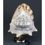 An Italian carved shell table lamp, H. 26cm.