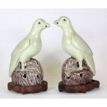 A pair of 20th Century Chinese porcelain figures of parrots on carved wooden bases, 22cm.