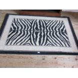 A contemporary zebra pelt design floor rug in cream and black.
