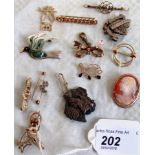 Sixteen gold and silver brooches, various, including a shell cameo brooch,