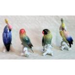 Four Karl Ens porcelain models of birds,