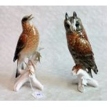 A Karl Ens porcelain model of a long eared owl, together with another of a song thrush.
