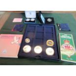 A collection of twelve proof mint coins,
