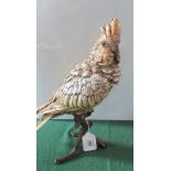 A late 19th/early 20th century Austrian cold painted bronze of a cockatoo by Franz Bergman,