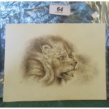 A 19th century pen and ink study of a snarling lion, monogrammed and dated MLR April 1863 verso.
