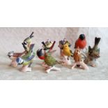 A collection of eleven Goebel birds, various, including: blue tit, owl, green finch, bull finch etc.