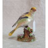 A Crown Staffordshire model of a golden oriole by J T Jones, 14cm.