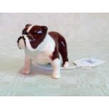 A small Beswick bulldog 'Bosun', gloss glazed.