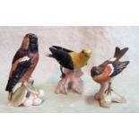 A Goebel model of a golden oriole, together with a brambling and a hawfinch, 14-16cm,