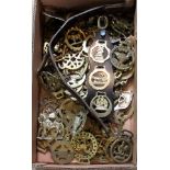 A collection of miscellaneous decorative horse brasses, some attached to Martingale straps.